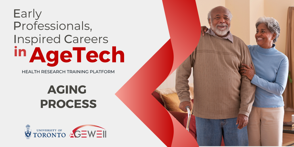 Aging Process 2025-2026